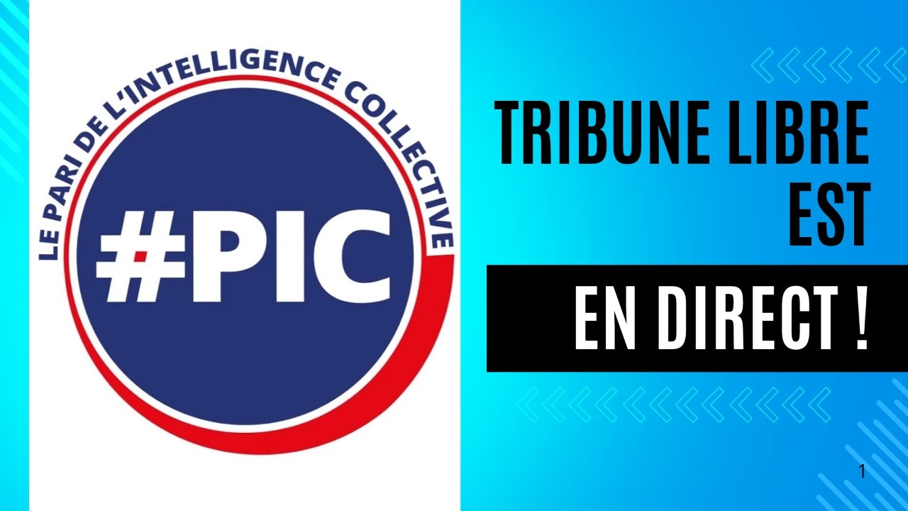 PIC, RIC ou démocratie directe : quatre regards sur l'intelligence collective