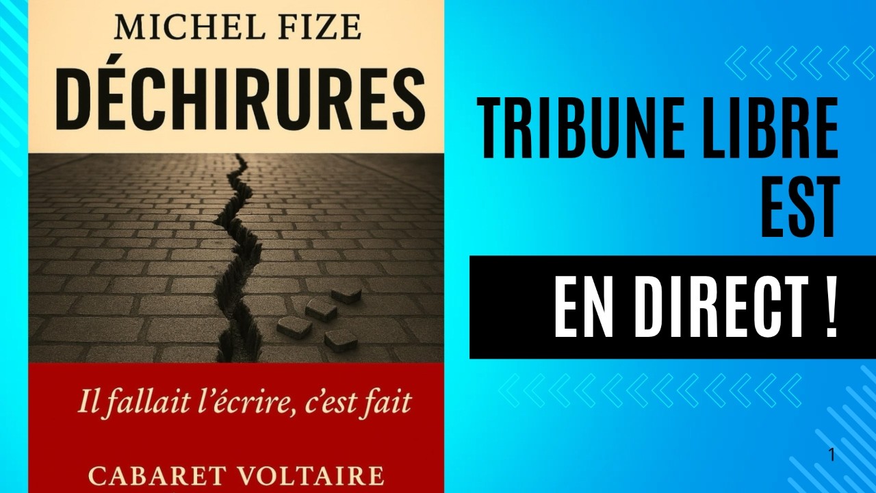 Déchirures : mobilisation lycéenne et fracture tissu social français - Michel Fize